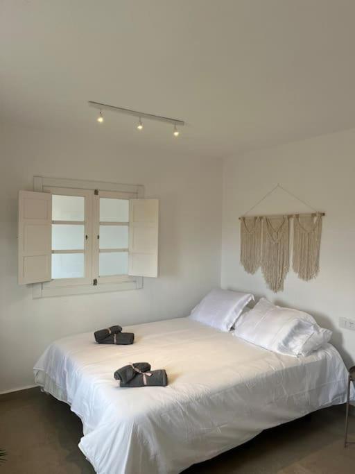 Casa Plaza 2 Lägenhet Vega de Rio de Palmas Exteriör bild