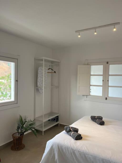 Casa Plaza 2 Lägenhet Vega de Rio de Palmas Exteriör bild
